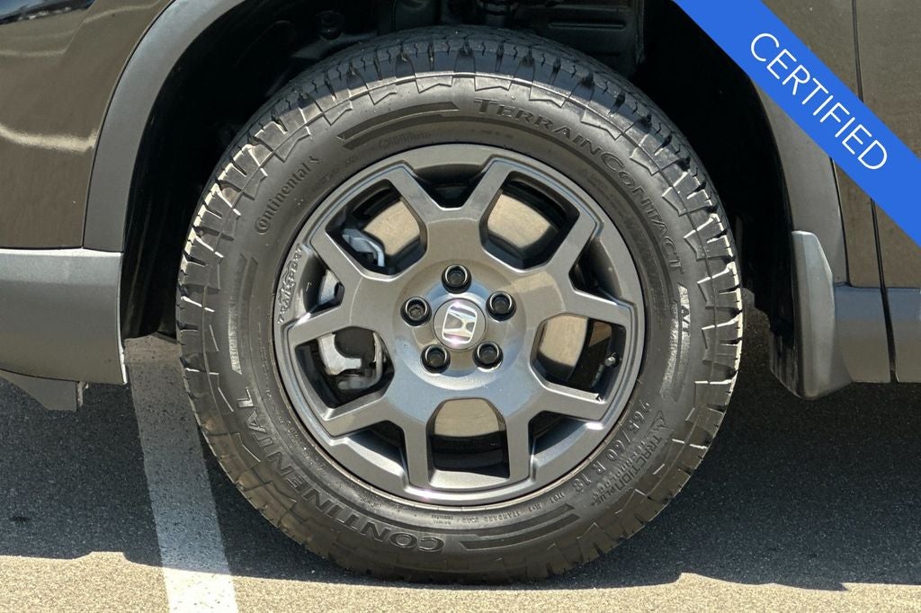 2025 Honda Pilot TrailSport