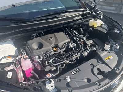 2026 Toyota SIENNA XLE XLE 8 Passenger