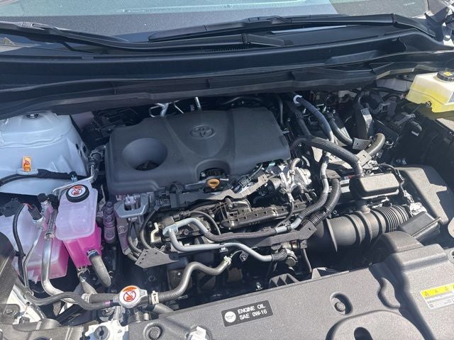 2026 Toyota SIENNA XLE XLE 8 Passenger