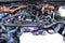 2026 Toyota 4Runner i-FORCE MAX Hybrid TRD Off Road Premium