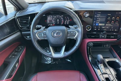 2025 Lexus NX NX 250