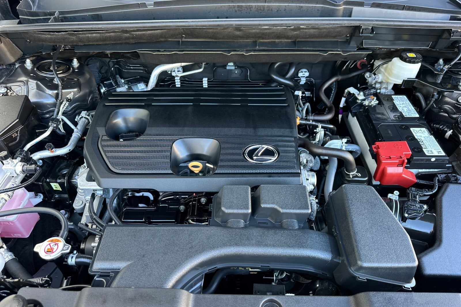 2025 Lexus NX NX 250