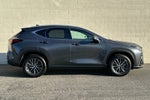 2025 Lexus NX NX 250