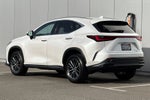 2024 Lexus NX 350 Base