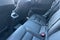 2026 Volvo XC60 Plug-In Hybrid T8 Ultra Black Edition