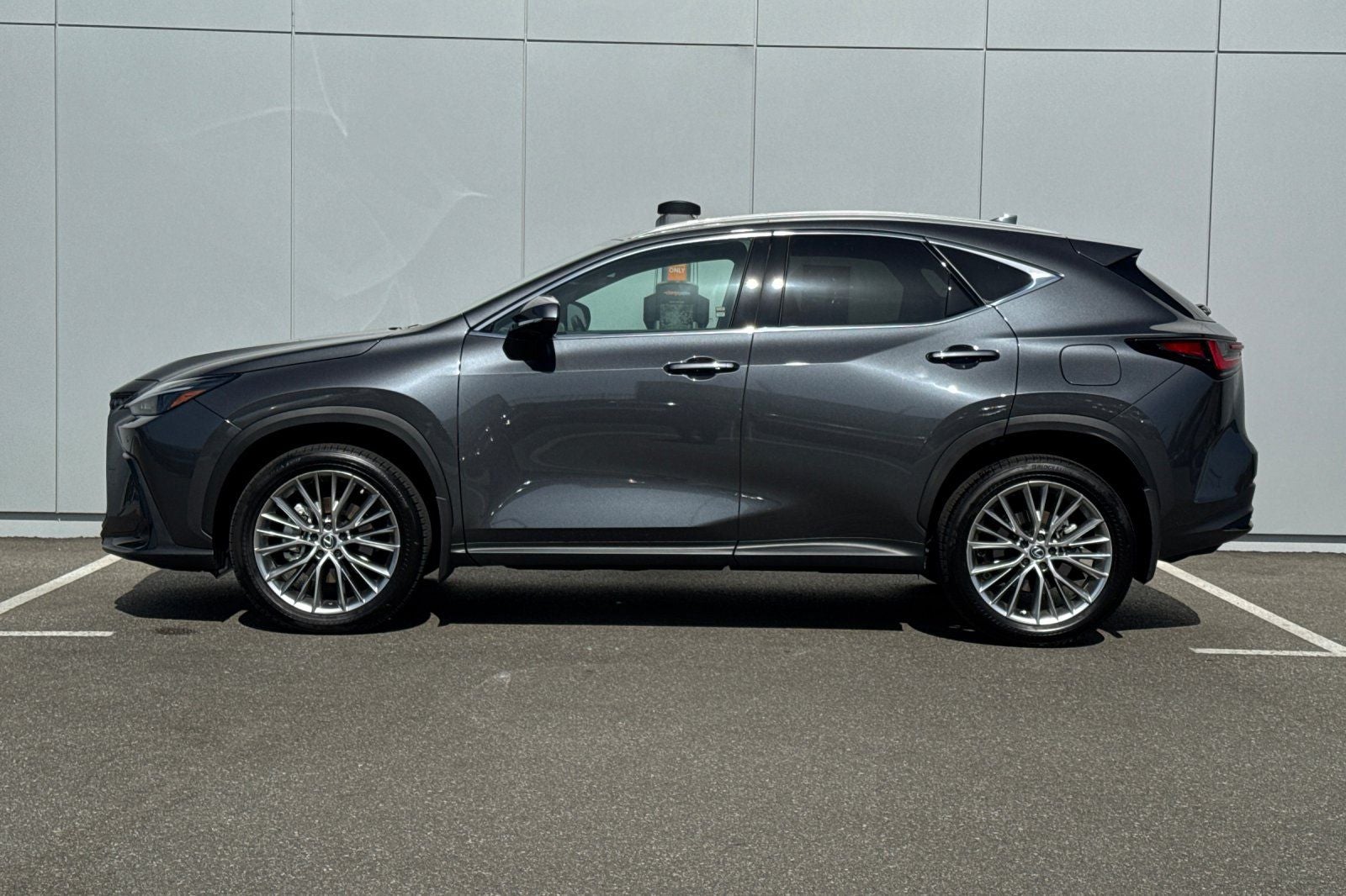 2025 Lexus NX 350 Premium