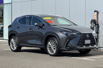 2025 Lexus NX 350 Premium